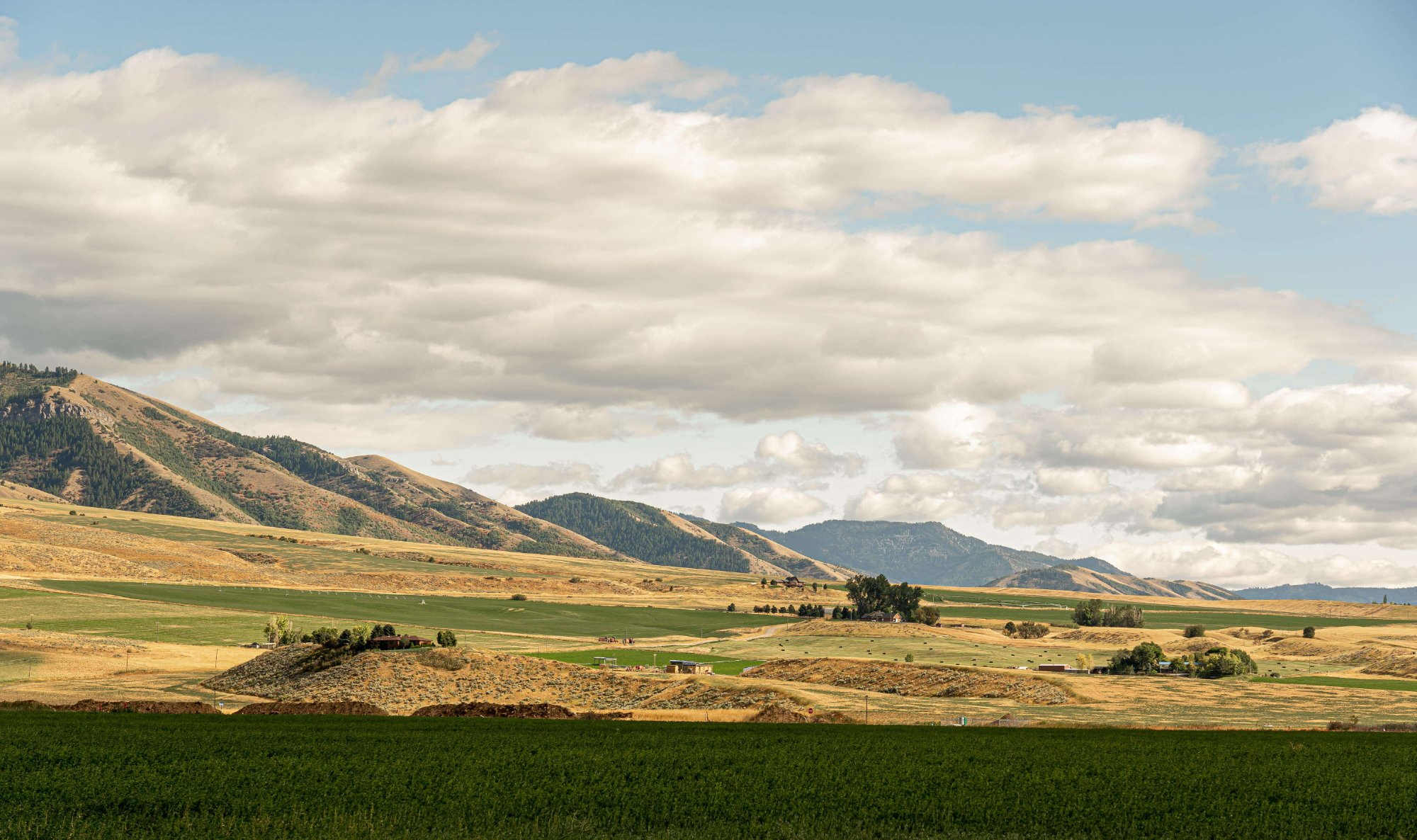 Landscape view near Viridian Labs