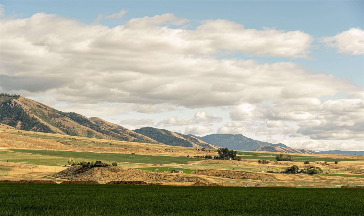 Landscape view near Viridian Labs